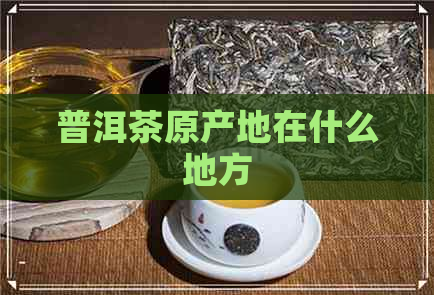 普洱茶原产地在什么地方