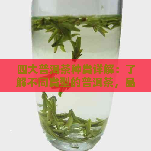 四大普洱茶种类详解：了解不同类型的普洱茶，品味独特的中国茶文化