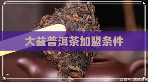 大益普洱茶加盟条件