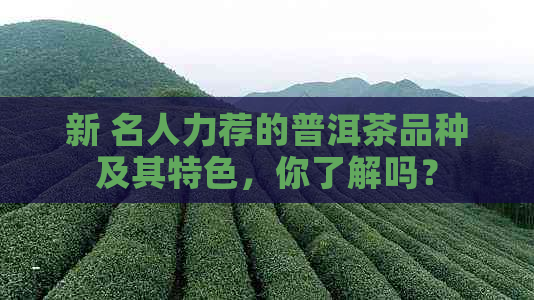 新 名人力荐的普洱茶品种及其特色，你了解吗？