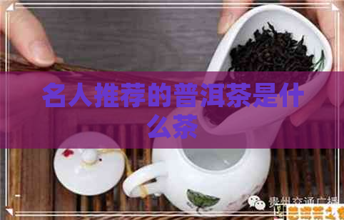 名人推荐的普洱茶是什么茶