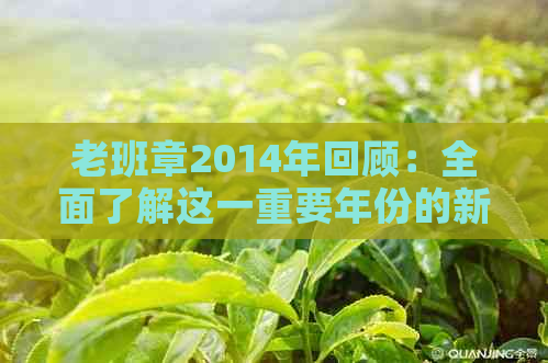 老班章2014年回顾：全面了解这一重要年份的新闻与