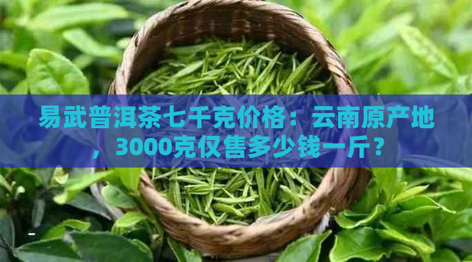 易武普洱茶七千克价格：云南原产地，3000克仅售多少钱一斤？