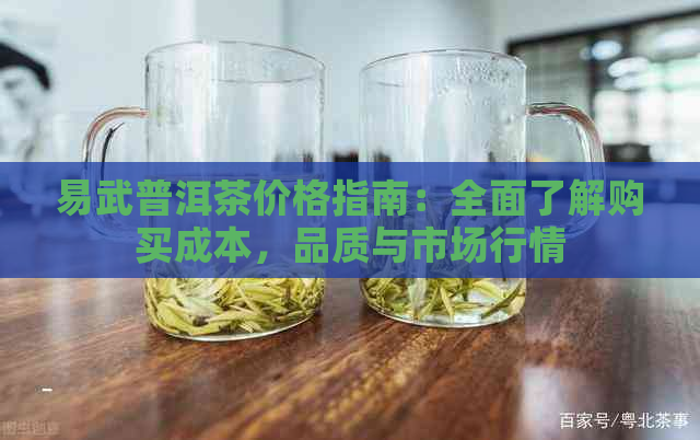 易武普洱茶价格指南：全面了解购买成本，品质与市场行情