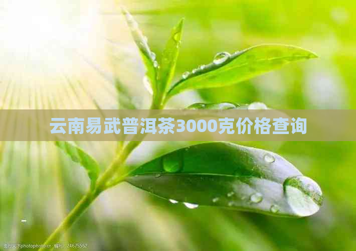 云南易武普洱茶3000克价格查询