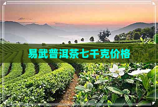 易武普洱茶七千克价格