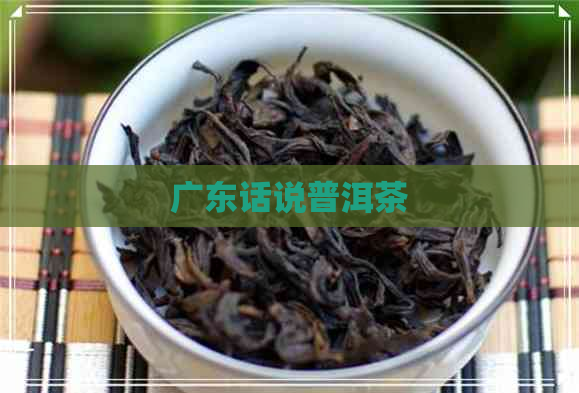 广东话说普洱茶