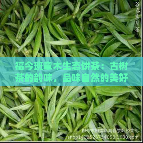 福今班章木生态饼茶：古树茶的韵味，品味自然的美好