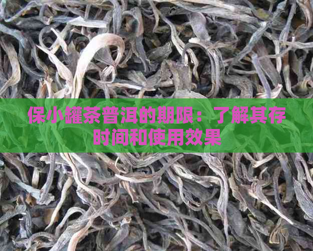 保小罐茶普洱的期限：了解其存时间和使用效果