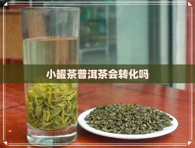 小罐茶普洱茶会转化吗