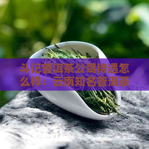 斗记普洱茶公司待遇怎么样：云南知名普洱茶生产商简介