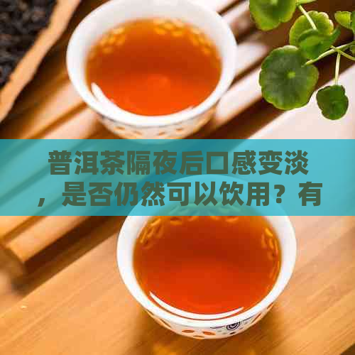 普洱茶隔夜后口感变淡，是否仍然可以饮用？有潜在食品安全风险吗？