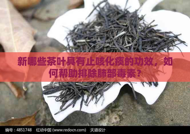 新哪些茶叶具有止咳化痰的功效，如何帮助排除肺部素？