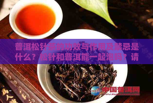 普洱松针茶的功效与作用及禁忌是什么？松针和普洱能一起泡吗？请解释。