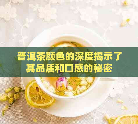 普洱茶颜色的深度揭示了其品质和口感的秘密