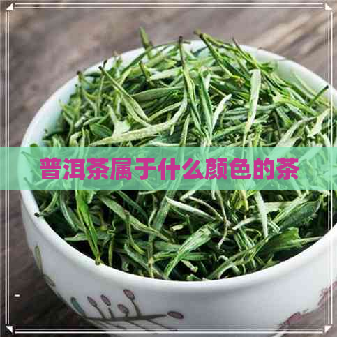 普洱茶属于什么颜色的茶