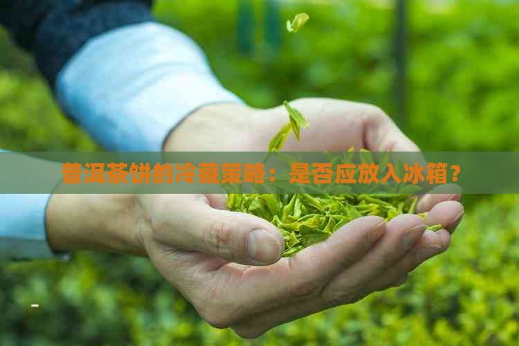 普洱茶饼的冷藏策略：是否应放入冰箱？