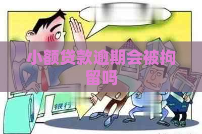 小额贷款逾期会被拘留吗