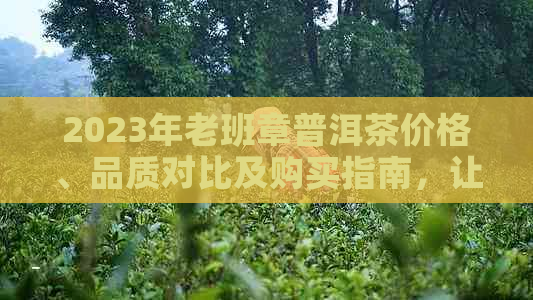 2023年老班章普洱茶价格、品质对比及购买指南，让你轻松找到心仪的茶叶