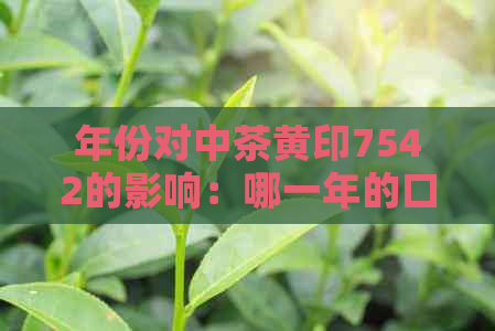 年份对中茶黄印7542的影响：哪一年的口感更佳？