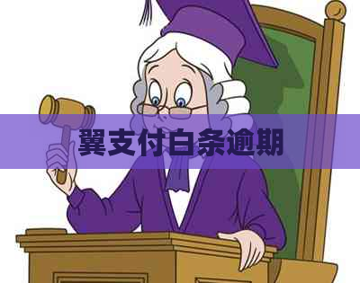 翼支付白条逾期