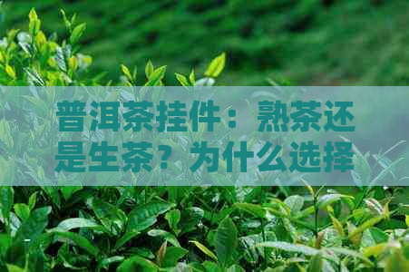 普洱茶挂件：熟茶还是生茶？为什么选择普洱茶挂件作为礼物？