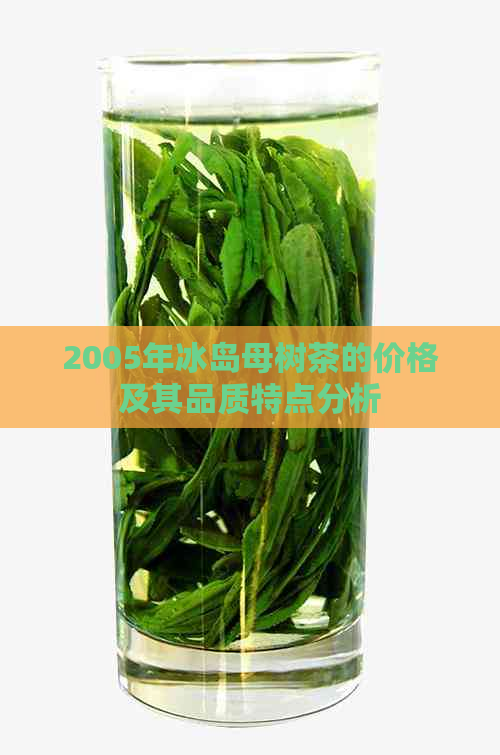 2005年冰岛母树茶的价格及其品质特点分析