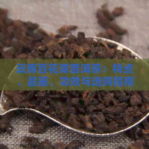 云南百花潭普洱茶：特点、品鉴、功效与选购指南