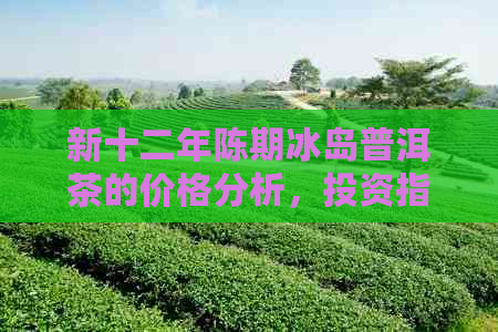 新十二年陈期冰岛普洱茶的价格分析，投资指南与品鉴技巧