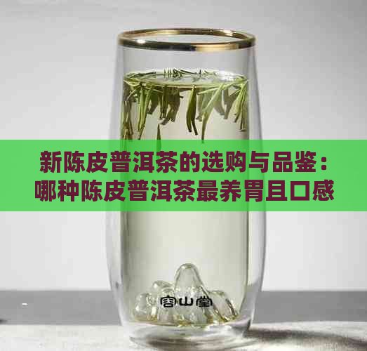 新陈皮普洱茶的选购与品鉴：哪种陈皮普洱茶最养胃且口感？