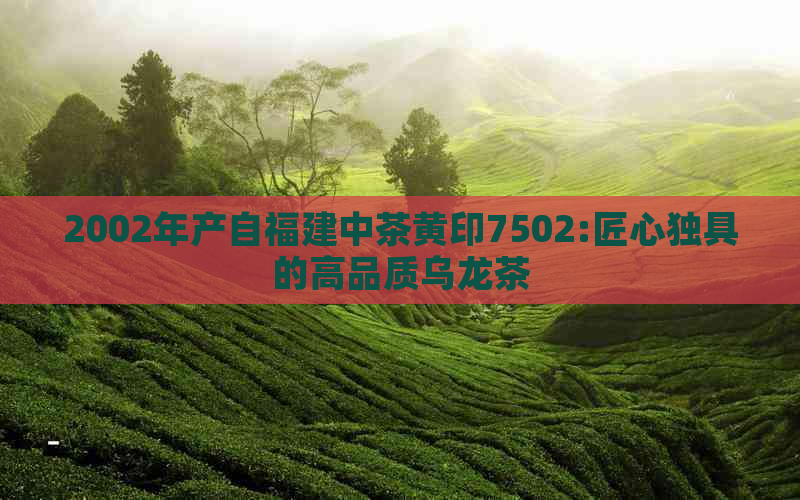 2002年产自福建中茶黄印7502:匠心独具的高品质乌龙茶