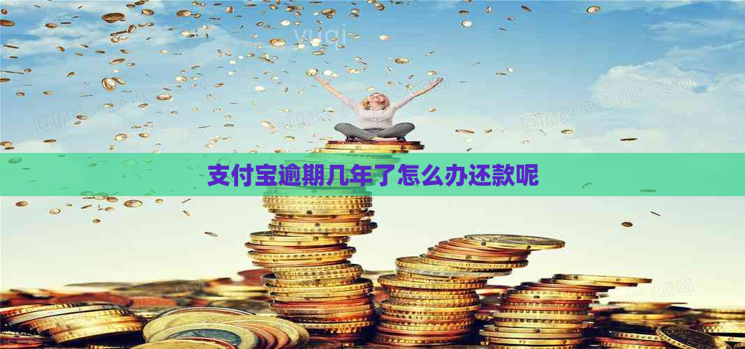 支付宝逾期几年了怎么办还款呢