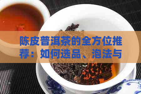 陈皮普洱茶的全方位推荐：如何选品、泡法与功效详解