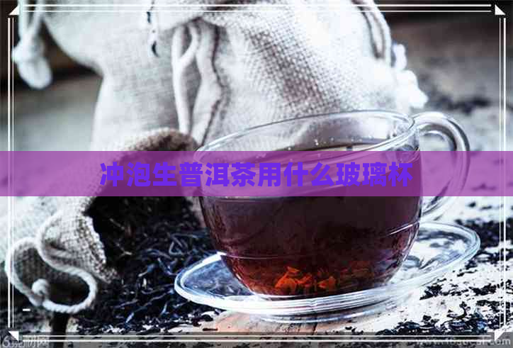 冲泡生普洱茶用什么玻璃杯