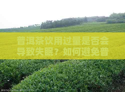 普洱茶饮用过量是否会导致失眠？如何避免普洱茶引发失眠问题？