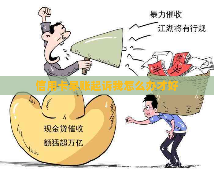 信用卡呆账起诉我怎么办才好