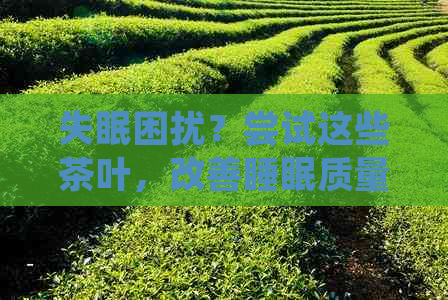 失眠困扰？尝试这些茶叶，改善睡眠质量！了解哪些茶叶有助于入睡。