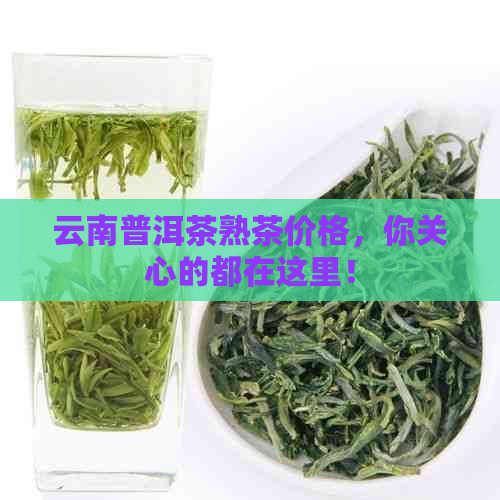 云南普洱茶熟茶价格，你关心的都在这里！