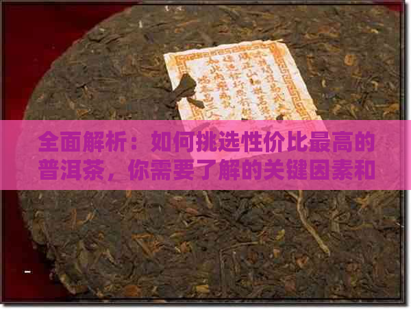 全面解析：如何挑选性价比更高的普洱茶，你需要了解的关键因素和推荐