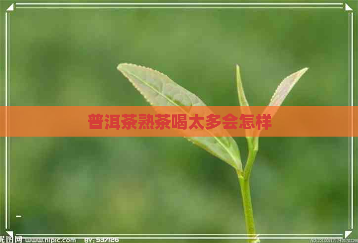 普洱茶熟茶喝太多会怎样