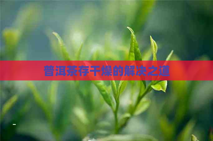 普洱茶存干燥的解决之道