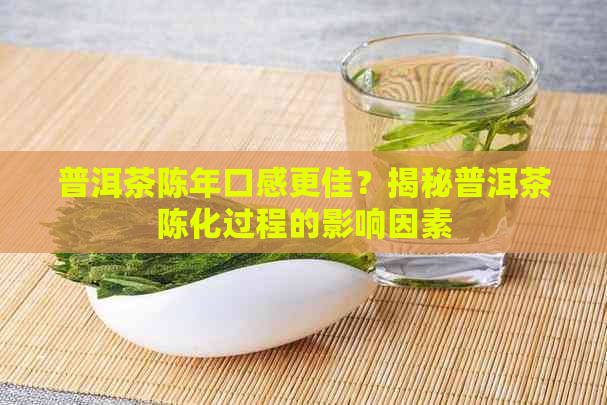 普洱茶陈年口感更佳？揭秘普洱茶陈化过程的影响因素