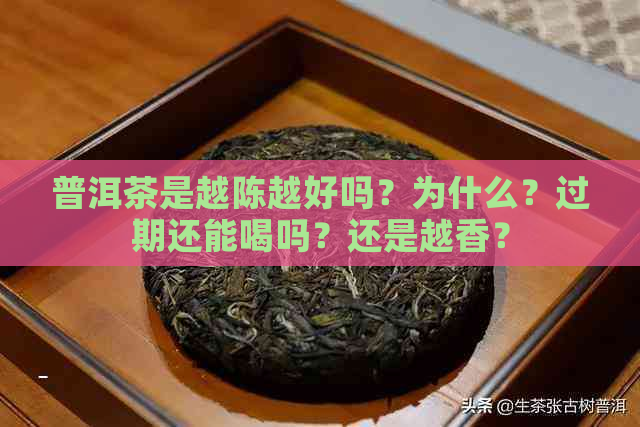 普洱茶是越陈越好吗？为什么？过期还能喝吗？还是越香？