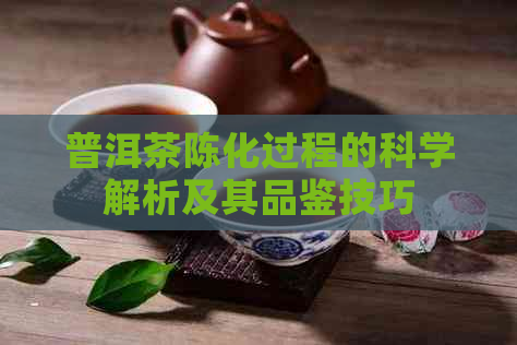 普洱茶陈化过程的科学解析及其品鉴技巧