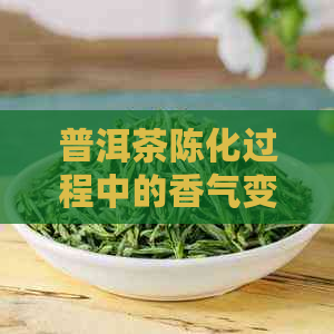 普洱茶陈化过程中的香气变化及其原因解析