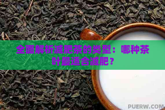 全面解析减肥茶的类型：哪种茶叶最适合减肥？