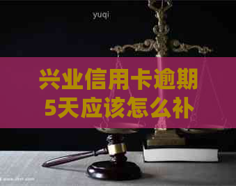 兴业信用卡逾期5天应该怎么补救