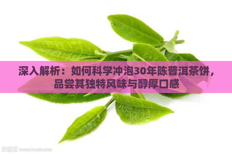 深入解析：如何科学冲泡30年陈普洱茶饼，品尝其独特风味与醇厚口感