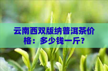 云南西双版纳普洱茶价格：多少钱一斤？