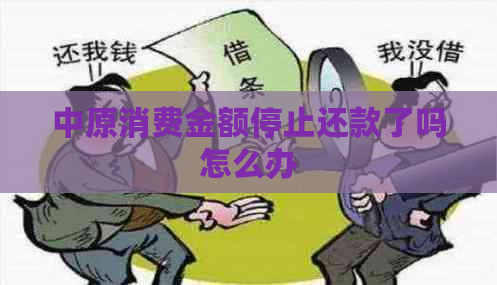 中原消费金额停止还款了吗怎么办